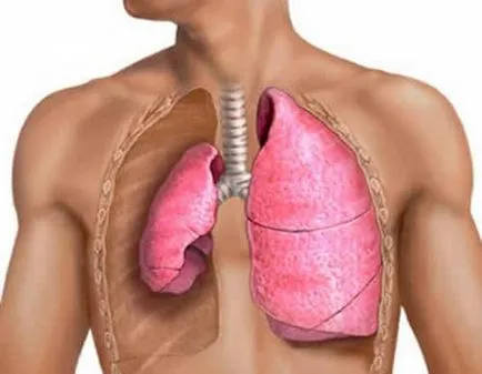 stop subita de cauza cardiaca cauze, simptome si tipuri de medicamente periculoase (brusc) stop subita de cauza cardiaca cauze, simptome si tipuri de medicamente periculoase