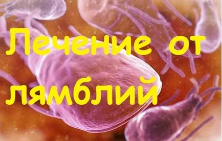 Tot felul de scheme pentru a trata Giardia în rândul copiilor și adulților, droguri și remedii populare (Giardia) Tot felul de scheme pentru a trata Giardia în rândul copiilor și adulților, droguri și remedii populare