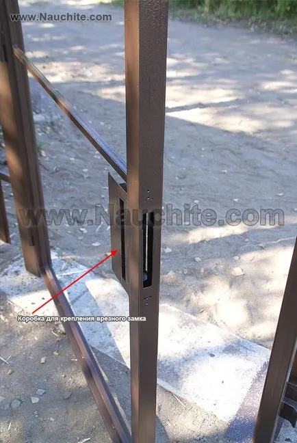 Gates cu poarta wicket sau separat