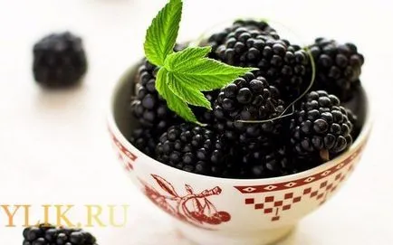tinctura Berry la alcool sau vodca la retete de casa (tinctura) tinctura Berry la alcool sau vodca în condiții de acasă rețete