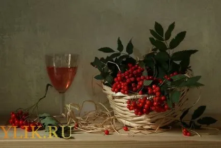 Berry tinctura de alcool sau de vodca la rețetele de acasă (apă de zahăr) tinctura Berry la alcool sau vodca în condiții de acasă rețete
