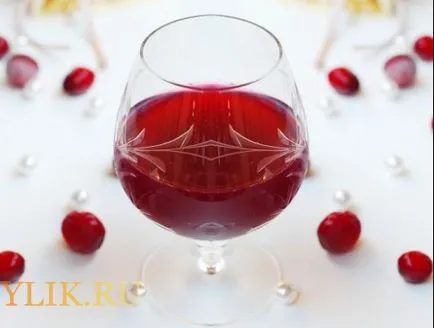 tinctura Berry la alcool sau vodca la rețete de acasă (acasă) tinctura Berry la alcool sau vodca în condiții de acasă rețete