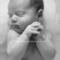 Indicatori Valoare etc. dimer în timpul sarcinii d dimer care este, rata de etichetă, Săptămâna, analiza,