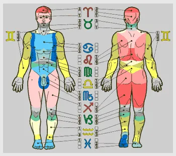 Zodiac semne, zodiac semn 12 douăsprezece caractere (zodiac) Zodiac semne, cerc zodiac 12 douasprezece zodii