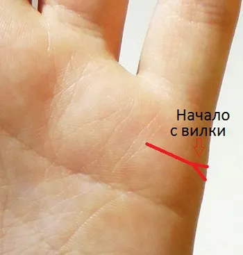 Valoarea liniei de iubire pe mână (foto și video) instrucțiuni (linii) Valoarea liniei de dragoste la îndemână (instrucțiuni foto și video)