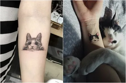 Tatuaje cu pisici