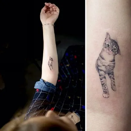 Tatuaje cu pisici