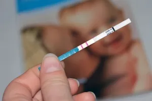 gravida