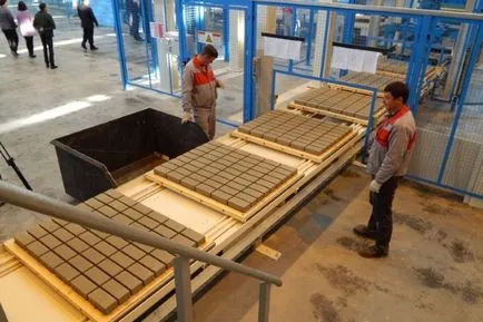 Planul de afaceri de producție faianta trotuare de nișă de evaluare, calcule de rentabilitate