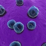 Cum de a identifica boli infecțioase Cum de a identifica boli infecțioase