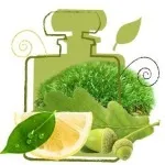 parfum chypre, care este