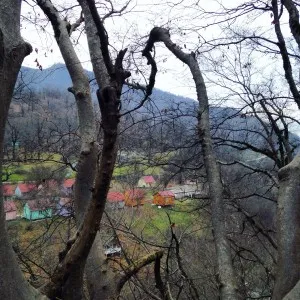 l azeră l azeră