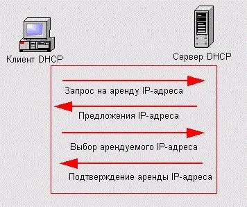 Dncp-l