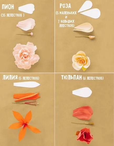 Cum sunt florile