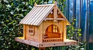 Efectuarea fermelor de păsări cu propriile lor mâini Efectuarea fermelor de păsări cu propriile lor mâini