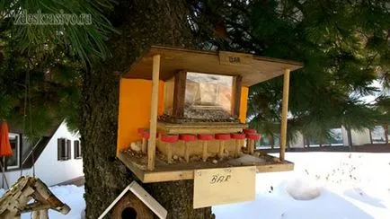 Efectuarea fermelor de păsări cu propriile lor mâini Efectuarea fermelor de păsări cu propriile lor mâini