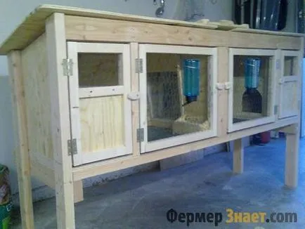 hutches de iepure cu desenul lor mâini hutches de iepure cu desenul lor mâini