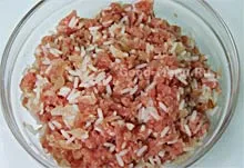 Rosii umplute cu carne tocată Rosii umplute cu carne tocată