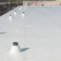 Zona zoster din ce