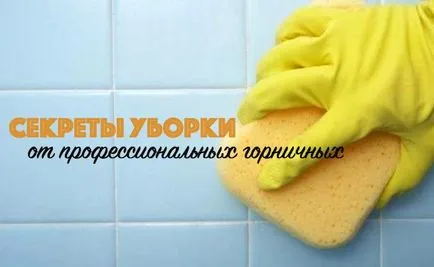 Cum pentru a curăța casa