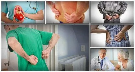 Doctor in numele rinichilor
