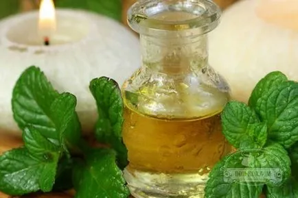 Cum de a scăpa de pânzele de păianjen Cum de a scăpa de pânzele de păianjen