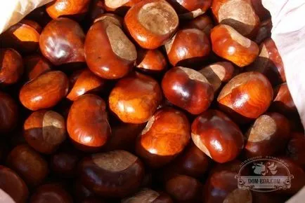 Cum de a scăpa de pânzele de păianjen Cum de a scăpa de pânzele de păianjen