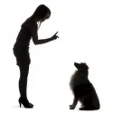Ce ar trebui să fac în cazul în care whines puppy Ce ar trebui să fac în cazul în care whines puppy