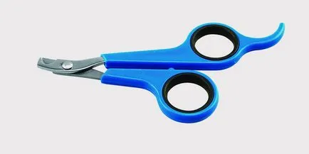 Ctrich cuie pisica