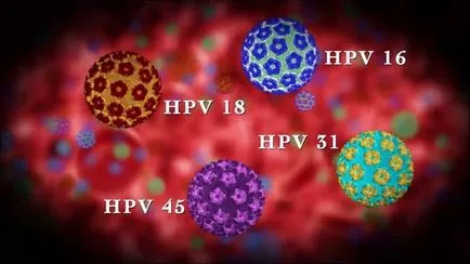 Cum obțineți HPV