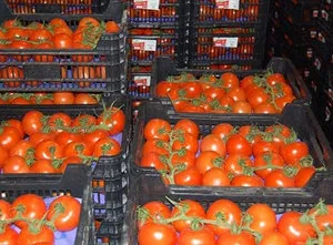Cum să păstrați tomate