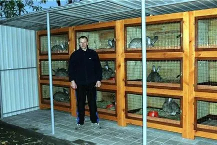 hutches de iepure cu desenul lor mâini