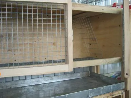 hutches de iepure cu desenul lor mâini
