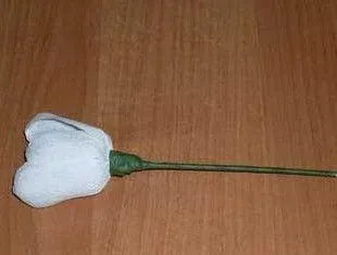 Cum sunt florile