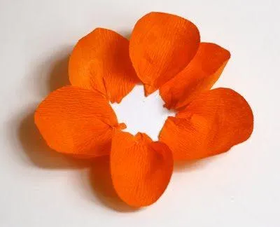 Cum sunt florile