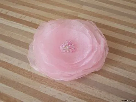 Cum sunt florile Cum sunt florile
