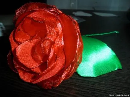 Cum sunt florile Cum sunt florile
