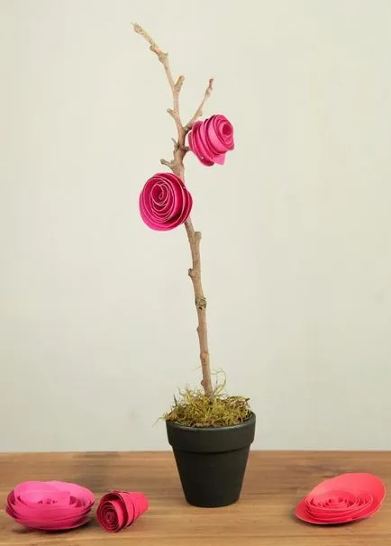 Cum sunt florile