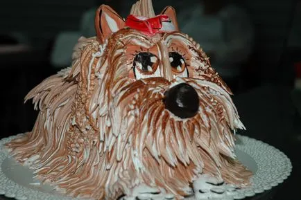 Cum de a decora un tort cu crema Cum de a decora un tort cu crema
