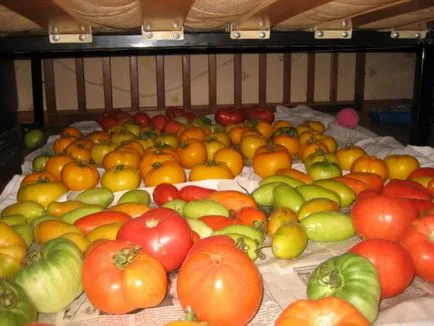 Cum să păstrați tomate