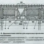 hutches de iepure cu desenul lor mâini