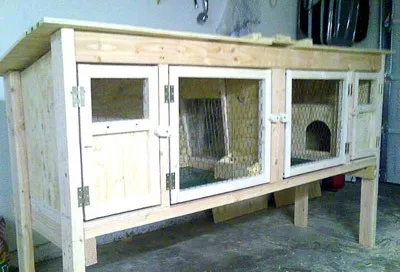 hutches de iepure cu desenul lor mâini