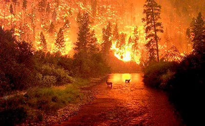 De ce vis despre foc De ce vis despre foc
