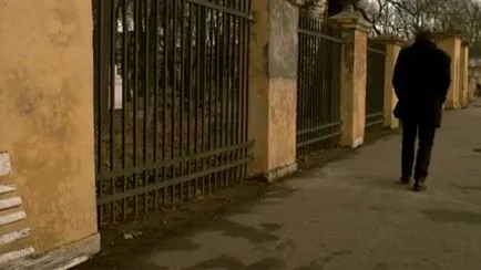 Ce să caute fratele meu și Ce să caute fratele meu și