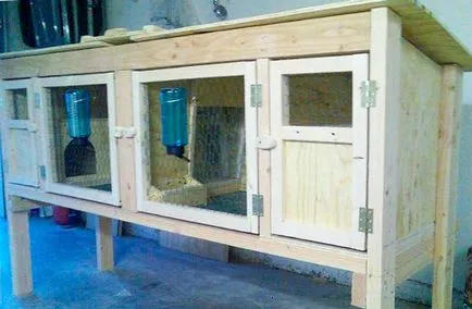 hutches de iepure cu desenul lor mâini