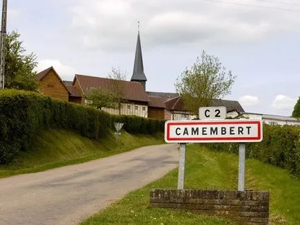 brânză Camembert așa cum este