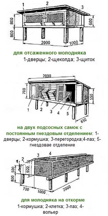 hutches de iepure cu desenul lor mâini