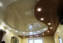 Modele pentru tavane,
