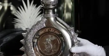 Ceea ce insista coniac