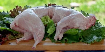 Rabbit în smântână cum să gătească Rabbit în smântână cum să gătească